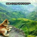 도도해 이미지