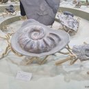 미호박물관 이미지