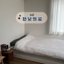 제주의 사색 | [서귀포] 제주 동쪽 성산 1인감성숙소 추천 ‘한낮의꿈’