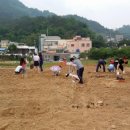 온천농장 이미지