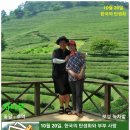 10월 20일. 한국의 탄생화와 부부 사랑 / 차나무 이미지