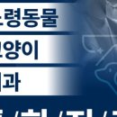 치유동물의료센터 네이버블로그