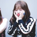 위미 이미지