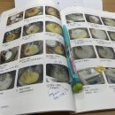 제과기능사(자격증과정 / 주간) 이미지