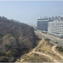 활짝열린공인중개사사무소 네이버블로그