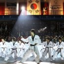 천하 태권도 이미지