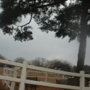 으뜸목장 이미지