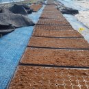 영풍농약사 이미지