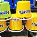 푸른솔실비