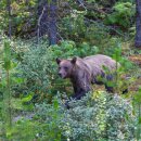 다사랑종합동물병원 이미지