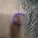 현대통통의원 이미지