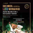 비바츠LED 태권발레 이미지