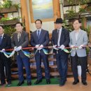 영흥도 갤러리 이미지