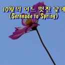 대저생태공원 이미지