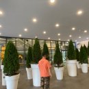 크림스톤 이미지