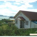 우경이네 이미지