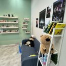 라라베이프 군산전자담배 | 광명 전자담배 매장 라라베이프 전담 입문 후기