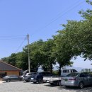 쌍교순두부 이미지