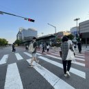 판교로50번길 이미지