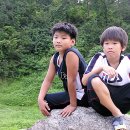 봉서산약수 이미지