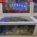 홍게왕국