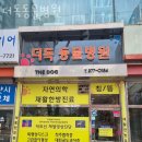 더독동물병원 | 고양 중산동 동물병원 더독동물병원 진료시간 접근성 이용후기