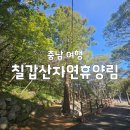 행복의집 | 충남의 알프스! 칠갑산 자연휴양림 '행복의집' 후기, 가격 정보와 칠갑타워 스카이워크 최신 개관 정보...