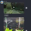 열대어나라수족관