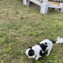 덕은펜션 이미지