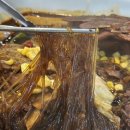 가야등뼈감자탕 이미지