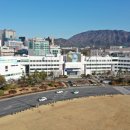 진동전통시장 이미지