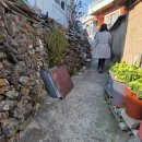 사랑리해녀할매집 이미지