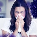 센트럴팜 이미지