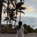 그레이트팜 | [호주] 해밀턴아일랜드 신혼여행 3일차/ 버기대여 일몰포인트 구경, 팜방갈로에서 요리하기