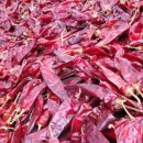 한근농장 이미지