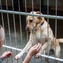 한국동물번식센타 이미지