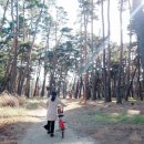 [강원도] 선비의 땅 강릉 핫플 - 허균 · 허난설헌기념관 방문후기