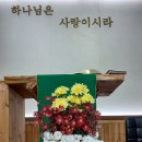 11월12일 세가지 국화로 이미지