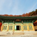 만기사