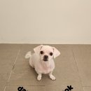 송내동3 이미지