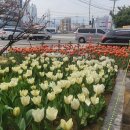 장유1동행정복지센터 이미지