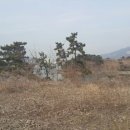 대도유료낚시터 이미지