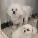 장원세탁소 이미지