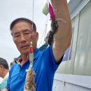 갑돌이 이미지