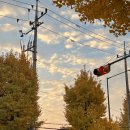 가을이야기치킨 | 니가 조와하던 그 가을이 와 ~ 🍁🍂