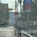 신촌로 110 웨스턴동물의료센터 신촌역 5번출구 이미지