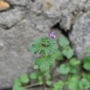우주광고사 - 익산시 | 우주광고사