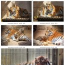 서울대공원 이미지