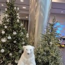 인제스피디움 호텔 | 인제 스피디움 호텔 후기(스파, 서킷, 카박물관, 짬뽕관)