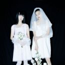 포그디자인 이미지